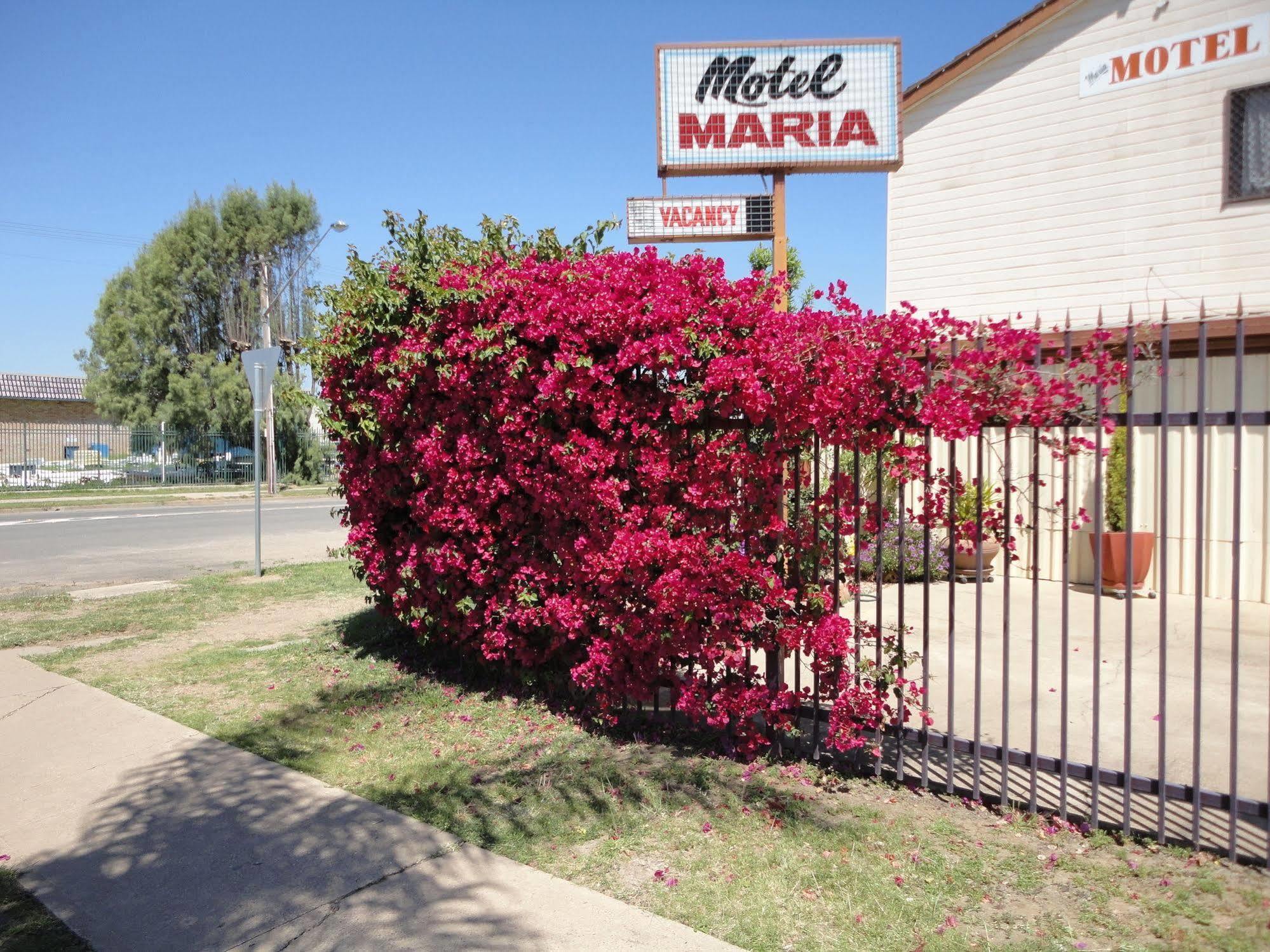Maria Motel Moree Exterior photo